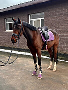 Супер адекватный мер. 2022 гр