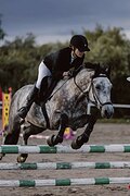 Шикарный мерин на 110