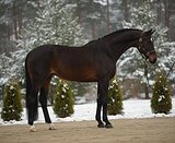 юношеские езды+элементы МП