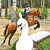 ТРОЕБОРЬЕ 2*L 