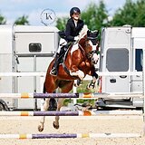 ДЕТСКИЙ МЕРИН В КОНКУР