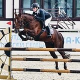 ЖЕРЕБЕЦ В ТРОЕБОРЬЕ