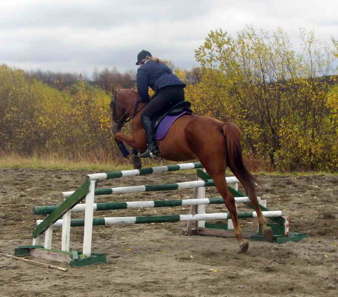 28 сентября, конкур 100-110, первое место                                                                                                 28сентября, конкур 100-110, чисто и резво                                                                            