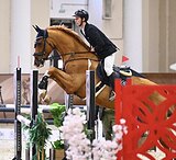 Перспективный жеребец 