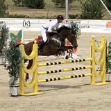 СТАРТОВЫЙ ОПЫТ ДО 120 СМ