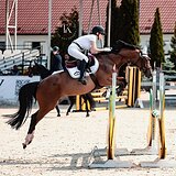 ЧЕСТНАЯ И ПРЫГУЧАЯ КОБЫЛА 