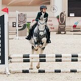 ПОНИ В КОНКУР И ВЫЕЗДКУ 