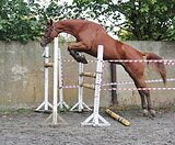 1/2 импорт , шпринт 130