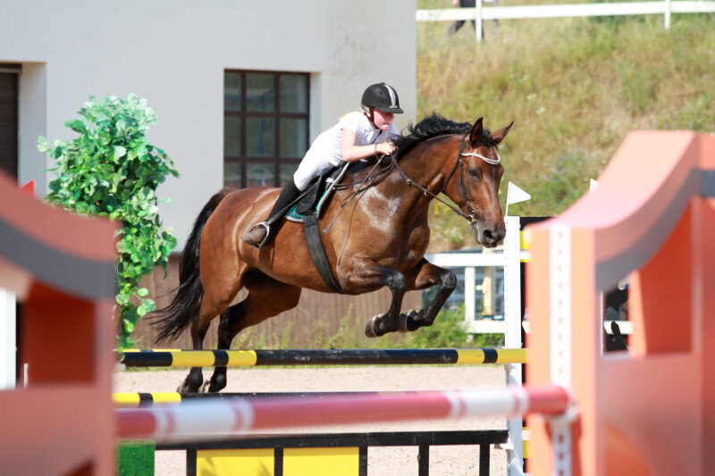 ВИЗАВИ и Котнова Евгения