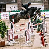 МЕРИН НА МАРШРУТЫ 130 СМ