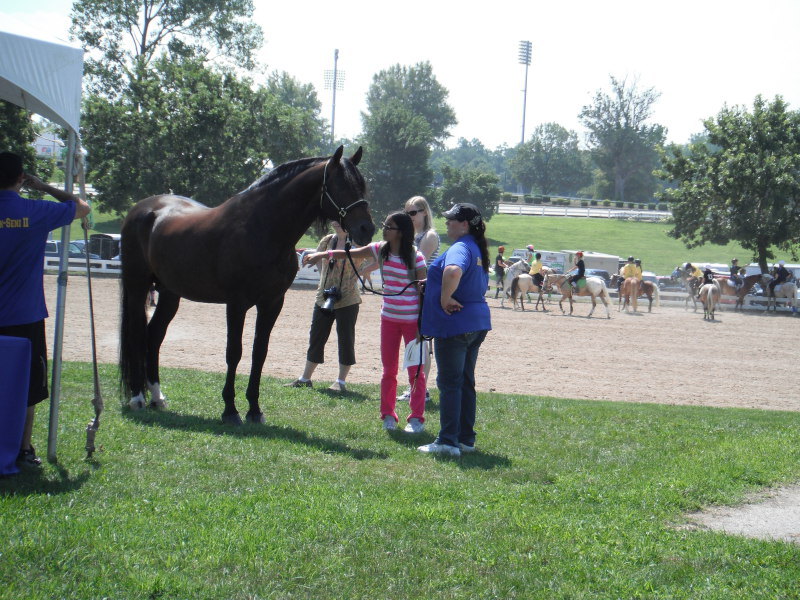 At the Lexington Kentucky Horse Park, Breyerfest in Kentucky, America. July 2012 