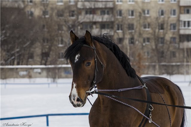 Продается