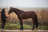 МАРШРУТЫ 100-130 • ЕЗДЫ ДЛЯ МЛ 