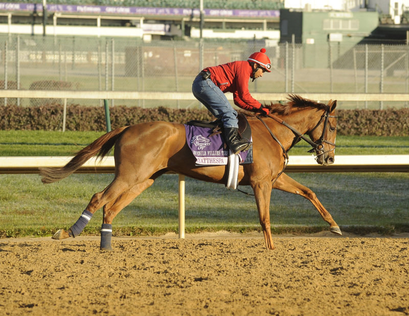 Ипподром Churchill Downs 2011 год, подготовка к Breeders' Cup Juvenile Fillies Turf - Gr. 2