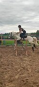 универсальный пони в/х130см