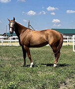 ЕЗДЫ ДЛЯ МЛ, МАРШРУТЫ 115