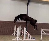 3 года от CERO BLUE TN