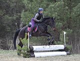 Троеборье/конкур/выездка