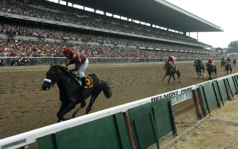 Ипподром Belmont Park 2008 год, последний этап Тройной Короны - Belmont Stakes.