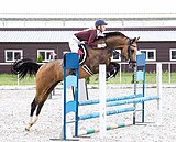 Очень любит прыгать