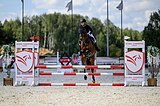 конкур, выездка из Бельгии 