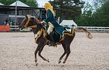 Жеребец 