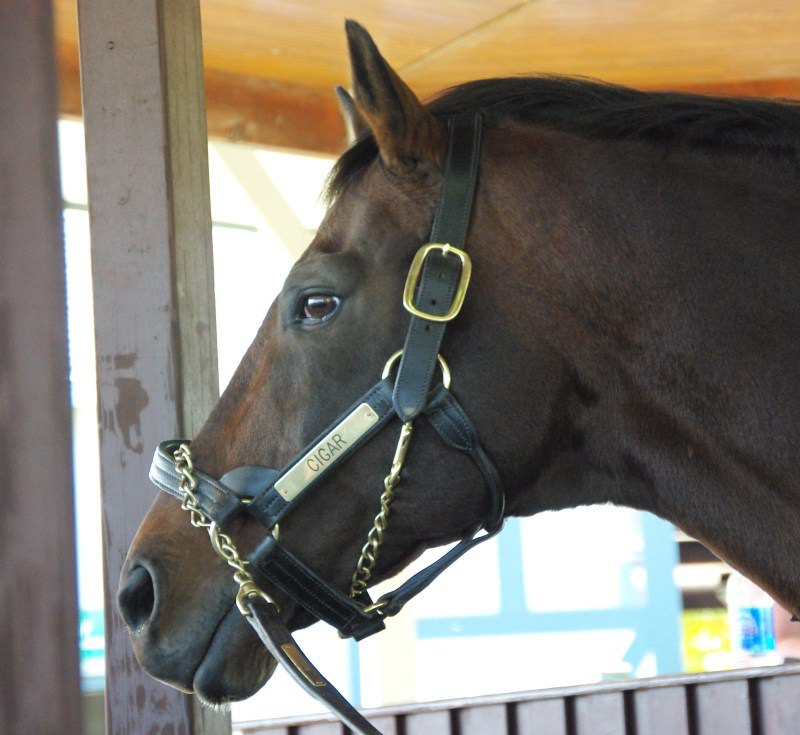 в Kentucky Horse Park 