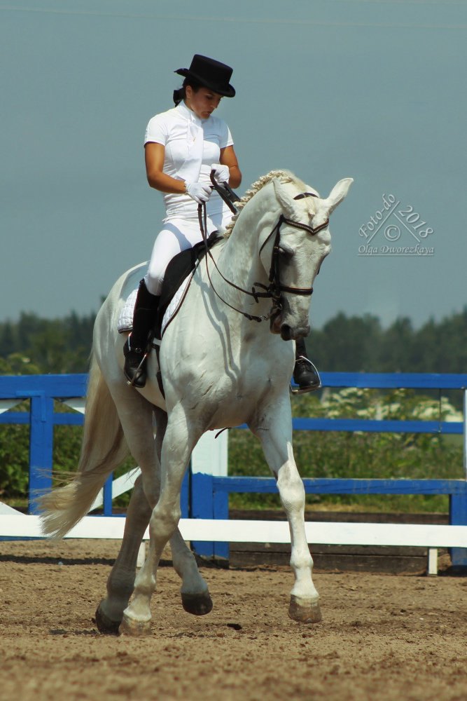 Архив 2013. соревнования в КСК Темп, МО