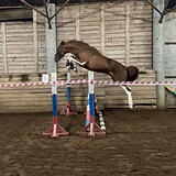 Мерин 155 вх, 2020 гр