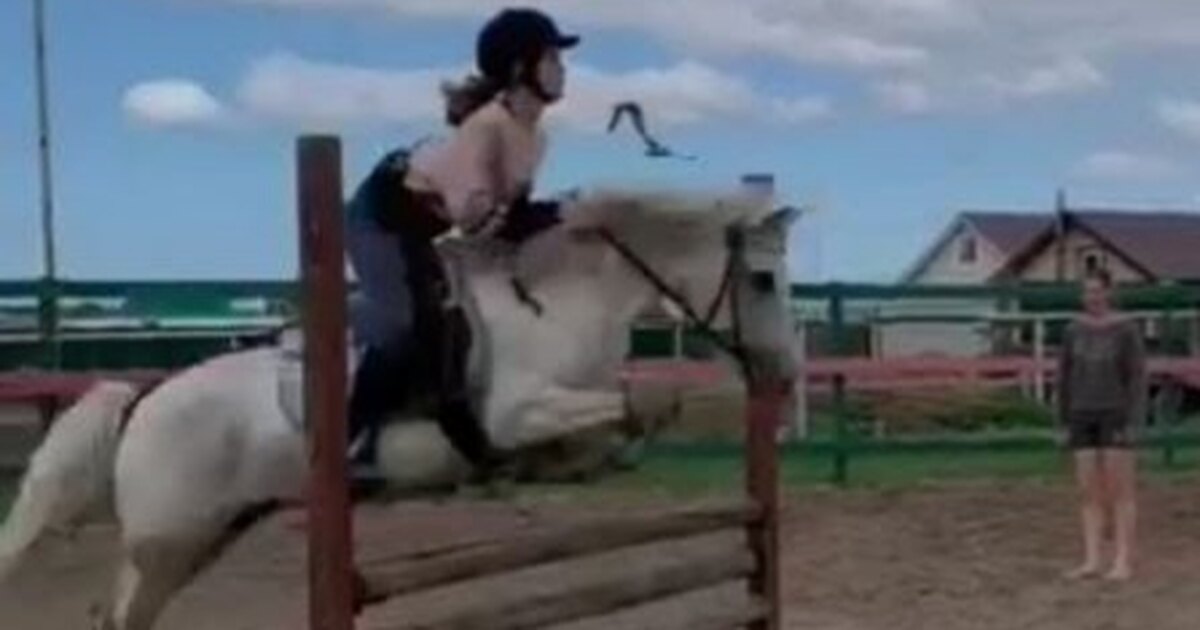 Сборная россии по конному спорту