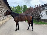 Равелла