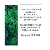 Брянск !!??