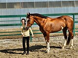 ИДЕАЛЬНАЯ ДЕТСКАЯ ЛОШАДКА