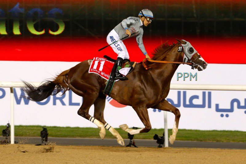 Ипподром Meydan, Дубаи, скачка Dubai World Cup 2016 год