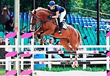 МАРШРУТЫ 110-120 • ВЫСОКИЙ • П