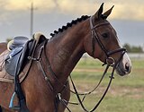 Мерин, маршруты 80