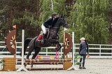 Кобыла 2014 г.