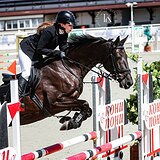 В КОНКУР И ТРОЕБОРЬЕ