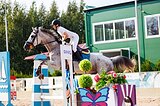 Кобыла 2015 гр, 172 вх