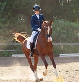 ДЕТСКИЕ ЕЗДЫ НА 70%