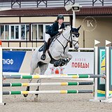 МЕРИН 10 ЛЕТ 170 СМ В ХОЛКЕ 