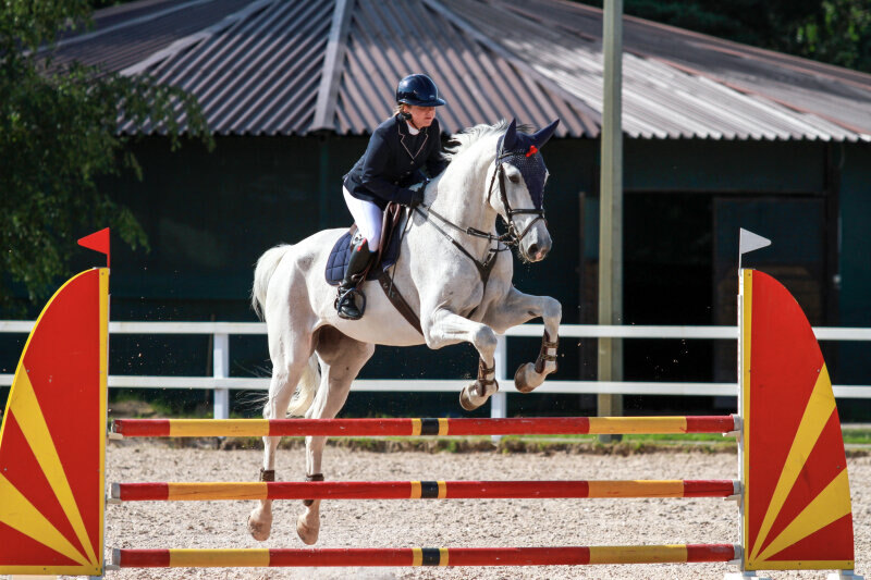 КАЙРО-09 и Химченко Мария