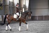 Мерин 2018 гр, 172 вх