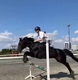 Срочно! Пони-класс