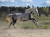 ЯРКАЯ ПРЕДСТАВИТЕЛЬНИЦА ПО