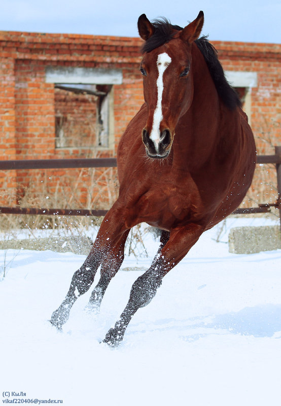 Разгребаю архивы, ЧВ, 27.03.2012