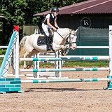 НЕВЕРОЯТНО КРАСИВЫЙ МЕРИН