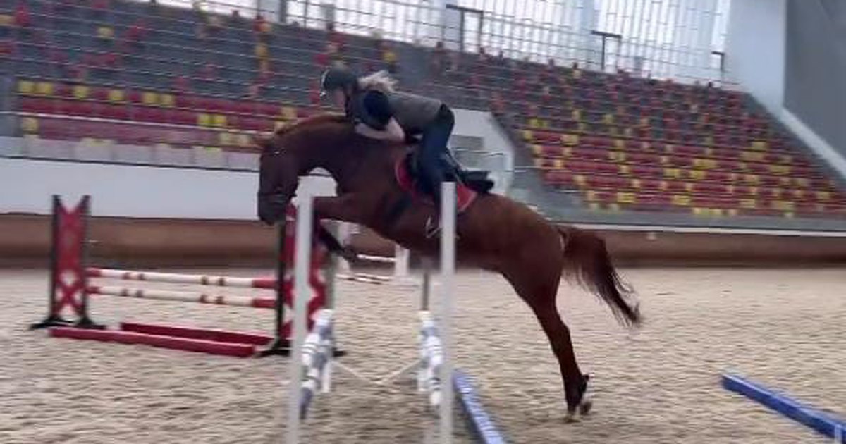 Кличка коня махотина главного вронского на скачках. Лошадь прыгает. Лошадь в прыжке. Спортивный конь. Лошади спорт.
