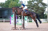 Стабильно маршруты 105