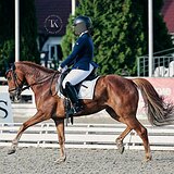 КОБЫЛА 10 ЛЕТ 147 СМ В ХОЛКЕ 